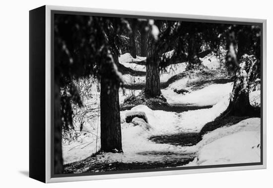 Wood, way, trees-Jule Leibnitz-Framed Premier Image Canvas