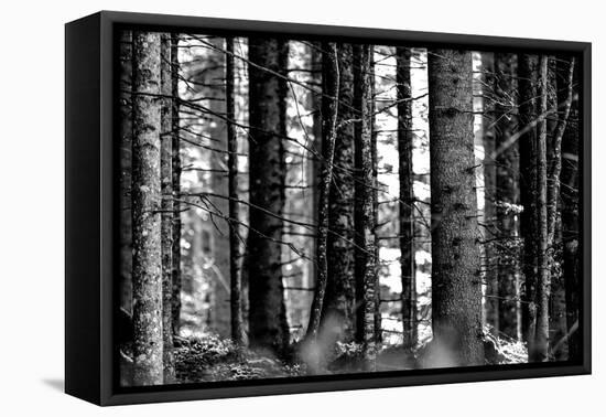 Wood-Jule Leibnitz-Framed Premier Image Canvas