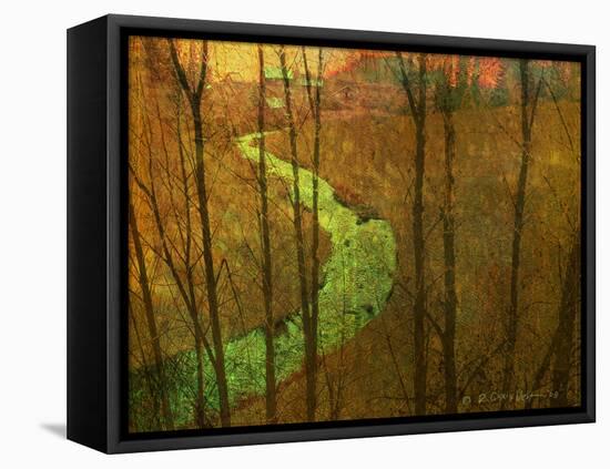 Woodblock Stream I-Chris Vest-Framed Premier Image Canvas