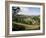 Woodchester, Cotswolds, Gloucestershire, UK-Adam Woolfitt-Framed Photographic Print