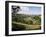 Woodchester, Cotswolds, Gloucestershire, UK-Adam Woolfitt-Framed Photographic Print