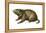 Woodchuck (Marmota Monax), Mammals-Encyclopaedia Britannica-Framed Stretched Canvas