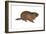 Woodchuck (Marmota Monax), Mammals-Encyclopaedia Britannica-Framed Art Print