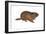 Woodchuck (Marmota Monax), Mammals-Encyclopaedia Britannica-Framed Art Print