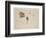 Woodcock Beak, Feet and Wing, C.1915 (W/C & Bodycolour over Pencil on Paper)-Archibald Thorburn-Framed Giclee Print