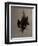 Woodcock Brace-James Gillick-Framed Giclee Print