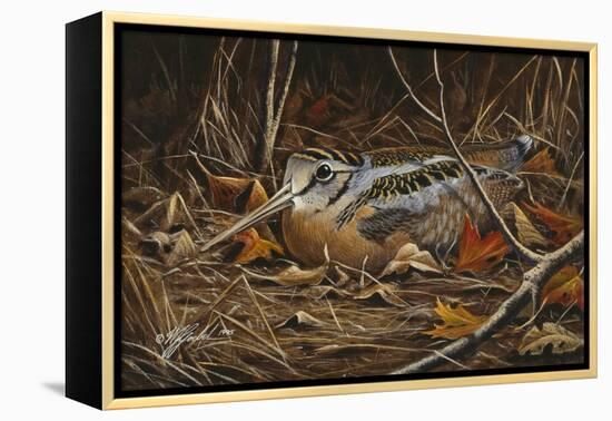 Woodcock in Hiding-Wilhelm Goebel-Framed Premier Image Canvas