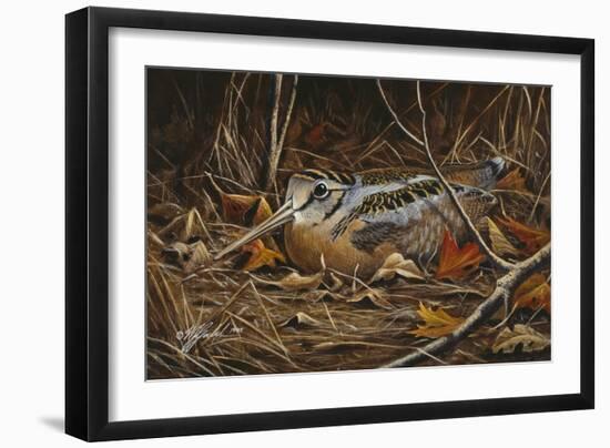 Woodcock in Hiding-Wilhelm Goebel-Framed Giclee Print