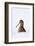 Woodcock in snow, Berwickshire, Scotland-Laurie Campbell-Framed Photographic Print