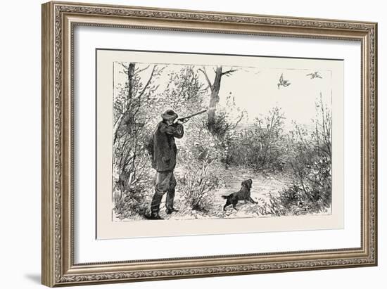 Woodcock Shooting, 1884-null-Framed Giclee Print