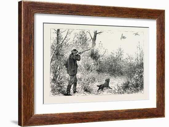 Woodcock Shooting, 1884-null-Framed Giclee Print