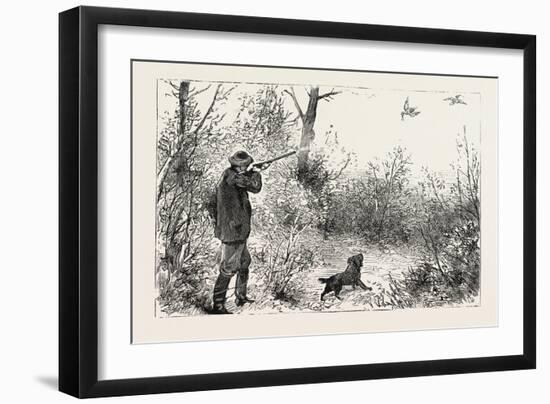 Woodcock Shooting, 1884-null-Framed Giclee Print