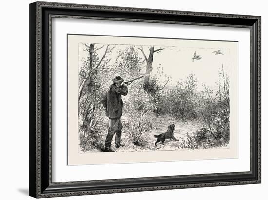 Woodcock Shooting, 1884-null-Framed Giclee Print