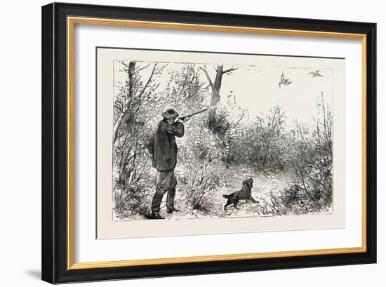 Woodcock Shooting, 1884-null-Framed Giclee Print