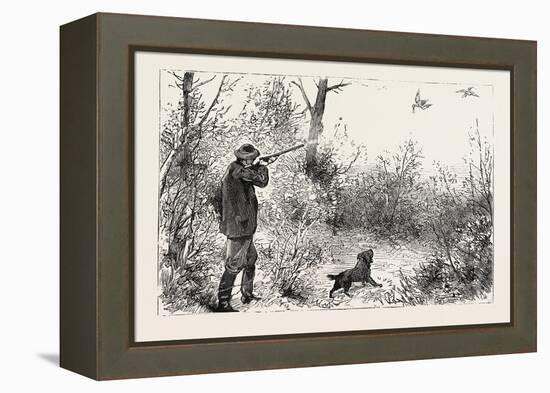 Woodcock Shooting, 1884-null-Framed Premier Image Canvas