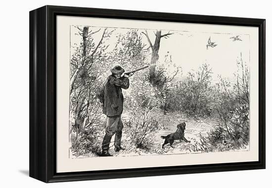 Woodcock Shooting, 1884-null-Framed Premier Image Canvas