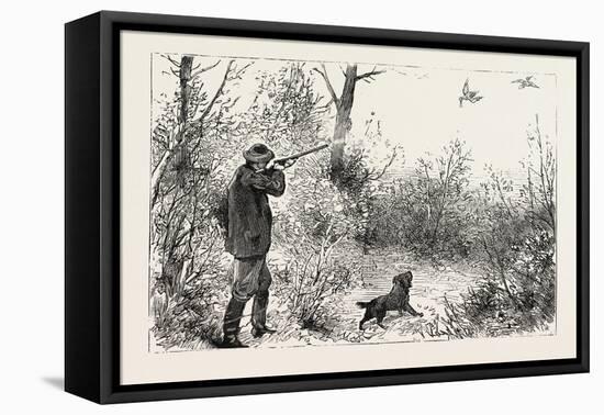 Woodcock Shooting, 1884-null-Framed Premier Image Canvas