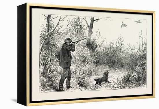 Woodcock Shooting, 1884-null-Framed Premier Image Canvas