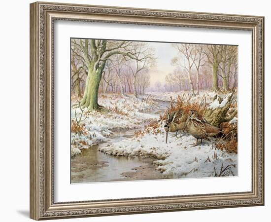 Woodcock-Carl Donner-Framed Giclee Print