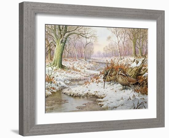 Woodcock-Carl Donner-Framed Giclee Print