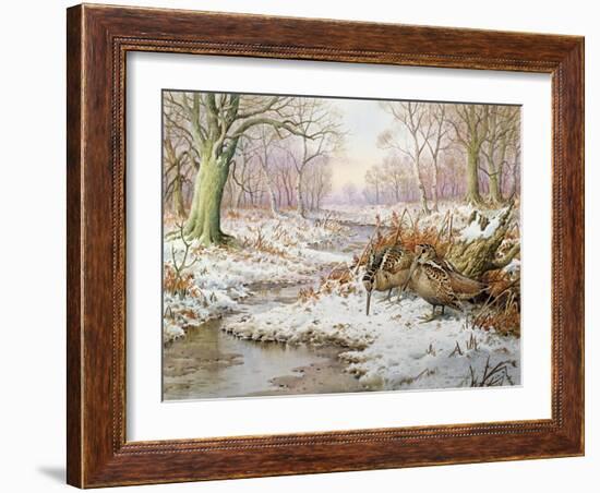 Woodcock-Carl Donner-Framed Giclee Print