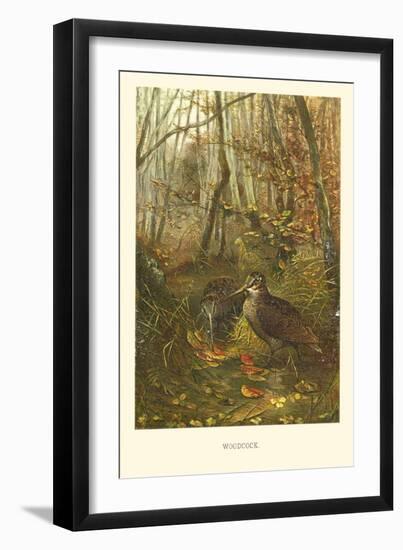 Woodcock-null-Framed Art Print