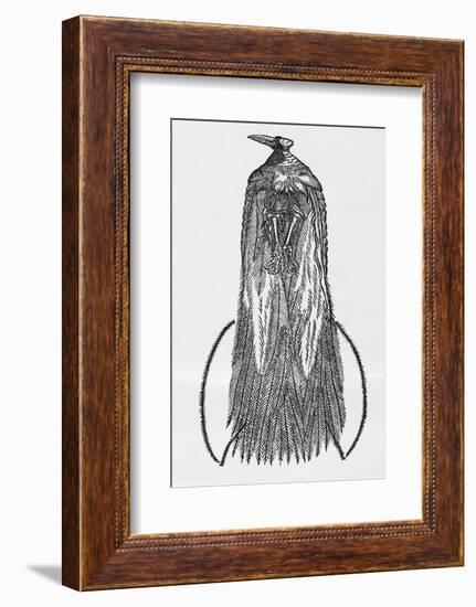 Woodcut Illustration of Bird-of-paradise-Middle Temple Library-Framed Photographic Print