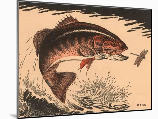 Woodcut of Bass-null-Mounted Art Print