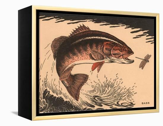 Woodcut of Bass-null-Framed Stretched Canvas