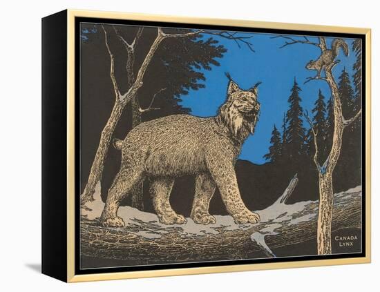 Woodcut of Canada Lynx-null-Framed Stretched Canvas