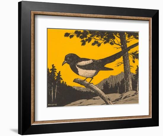 Woodcut of Magpie-null-Framed Art Print