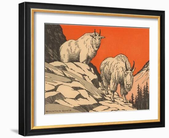 Woodcut of Mountain Goats-null-Framed Art Print