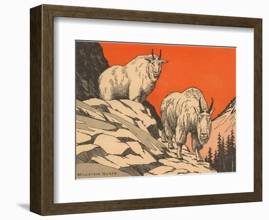 Woodcut of Mountain Goats-null-Framed Art Print