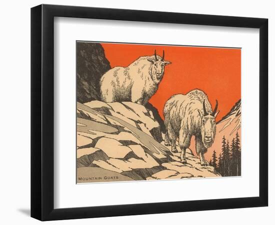 Woodcut of Mountain Goats--Framed Art Print