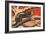 Woodcut of Otter-null-Framed Art Print