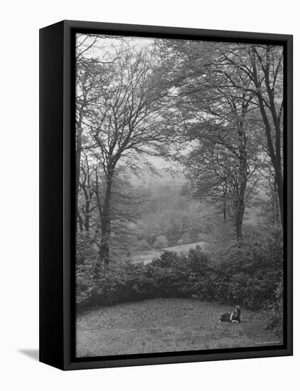 Wooded Area on Cliveden, Estate Owned by Lord William Waldorf Astor and Wife Lady Nancy Astor-Hans Wild-Framed Premier Image Canvas