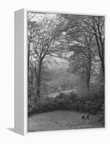 Wooded Area on Cliveden, Estate Owned by Lord William Waldorf Astor and Wife Lady Nancy Astor-Hans Wild-Framed Premier Image Canvas