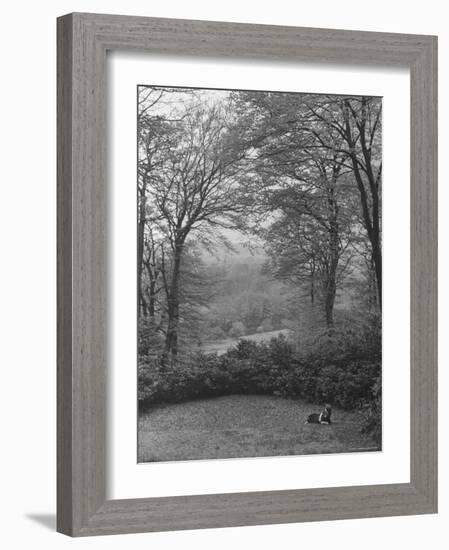 Wooded Area on Cliveden, Estate Owned by Lord William Waldorf Astor and Wife Lady Nancy Astor-Hans Wild-Framed Photographic Print