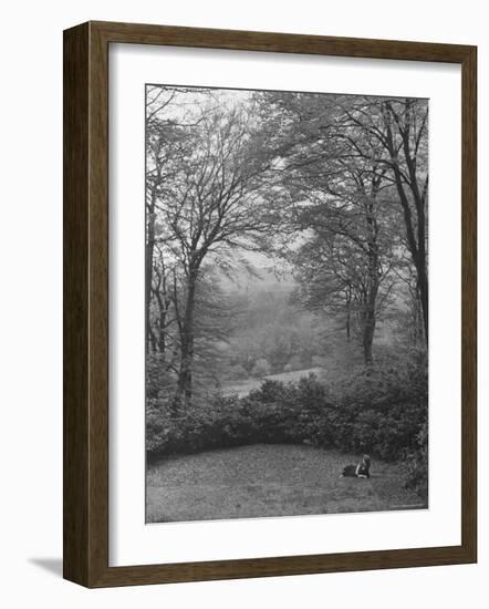 Wooded Area on Cliveden, Estate Owned by Lord William Waldorf Astor and Wife Lady Nancy Astor-Hans Wild-Framed Photographic Print