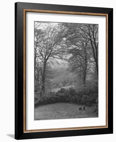 Wooded Area on Cliveden, Estate Owned by Lord William Waldorf Astor and Wife Lady Nancy Astor-Hans Wild-Framed Photographic Print