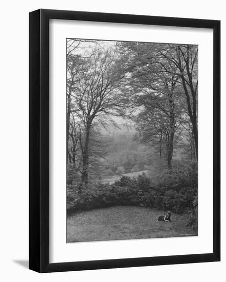 Wooded Area on Cliveden, Estate Owned by Lord William Waldorf Astor and Wife Lady Nancy Astor-Hans Wild-Framed Photographic Print