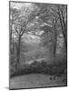 Wooded Area on Cliveden, Estate Owned by Lord William Waldorf Astor and Wife Lady Nancy Astor-Hans Wild-Mounted Photographic Print