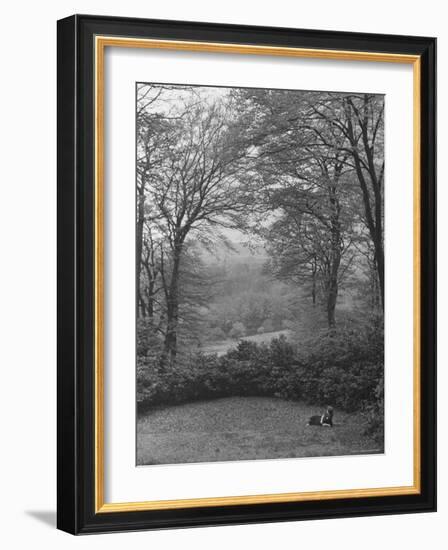 Wooded Area on Cliveden, Estate Owned by Lord William Waldorf Astor and Wife Lady Nancy Astor-Hans Wild-Framed Photographic Print