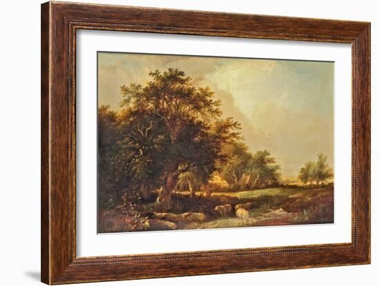 Wooded Landscape near Iver, Uxbridge, 1825-1850 (Oil on Panel)-Patrick Nasmyth-Framed Giclee Print