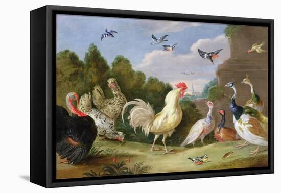 Wooded Landscape with a Cock, Turkey, Hens and Other Birds, 17th Century-Jan van Kessel the Elder-Framed Premier Image Canvas