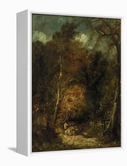 Wooded Landscape-David Cox-Framed Premier Image Canvas