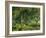 Wooded Meadow-Atelier Sommerland-Framed Art Print