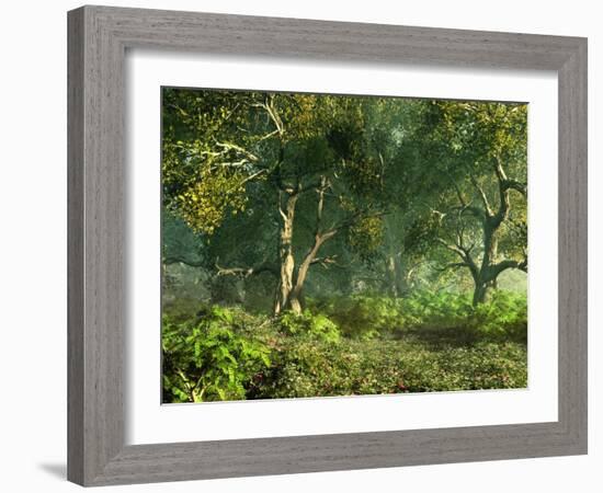 Wooded Meadow-Atelier Sommerland-Framed Art Print