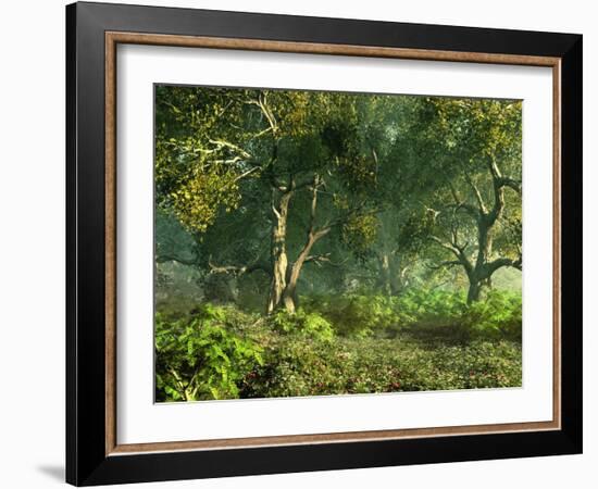 Wooded Meadow-Atelier Sommerland-Framed Art Print