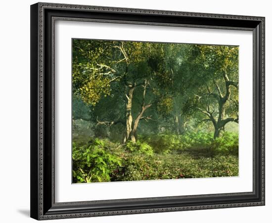 Wooded Meadow-Atelier Sommerland-Framed Art Print